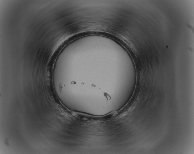 X0000095680926200801221223