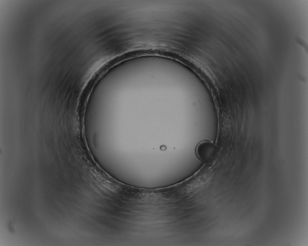 X0000095680927200801221223