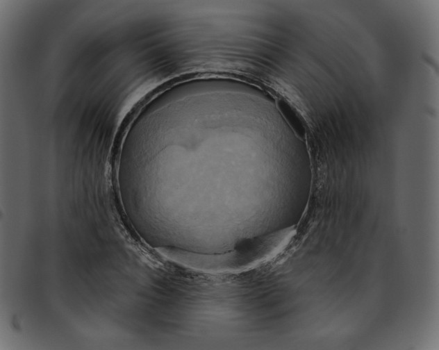X0000095680928200801221223