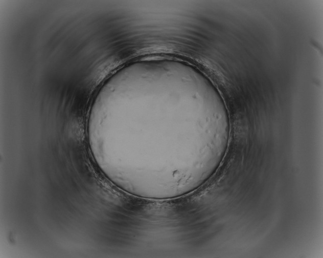 X0000095680929200801221223