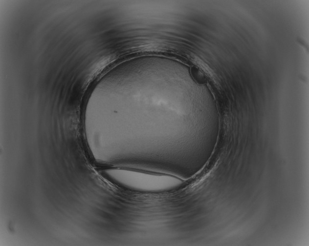X0000095680930200801221223