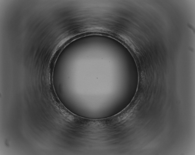 X0000095680931200801221223