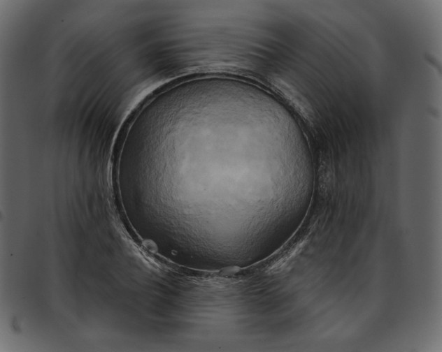 X0000095680932200801221223