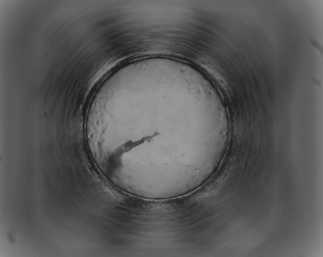 X0000095680933200801221223
