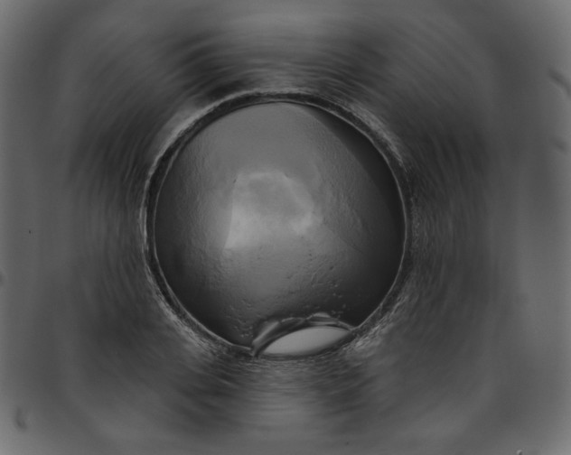 X0000095680935200801221223