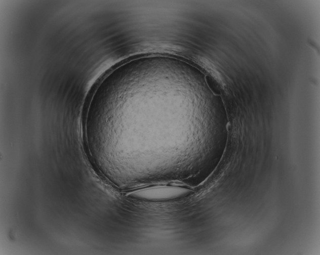 X0000095680936200801221223