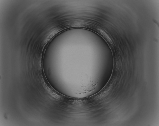 X0000095680938200801221223