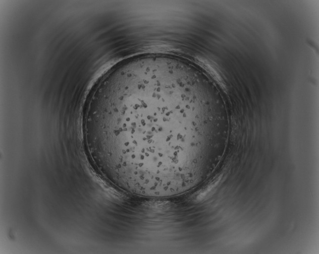 X0000095680939200801221223