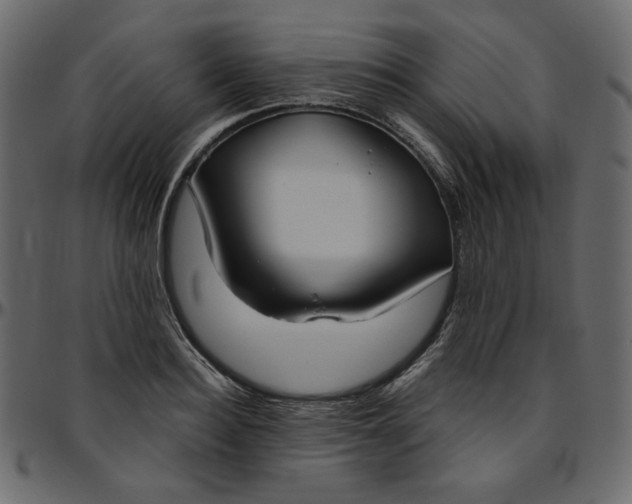 X0000095680940200801221223