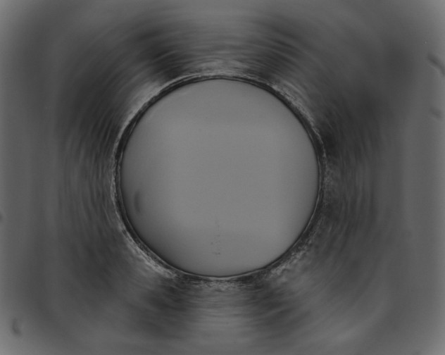 X0000095680941200801221223