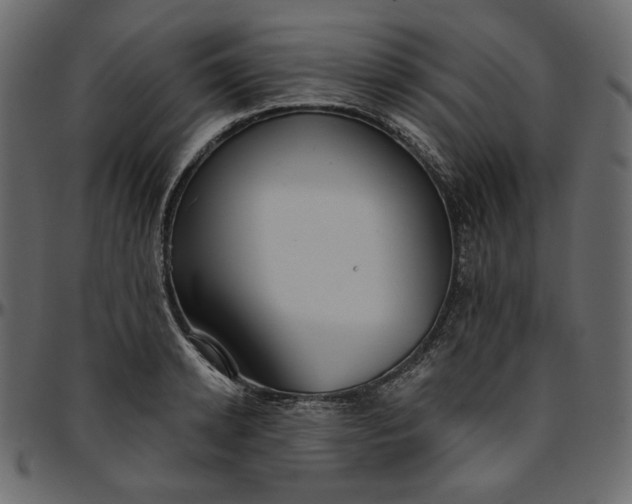 X0000095680942200801221223