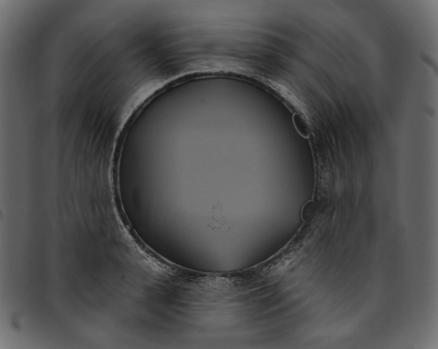 X0000095680943200801221223