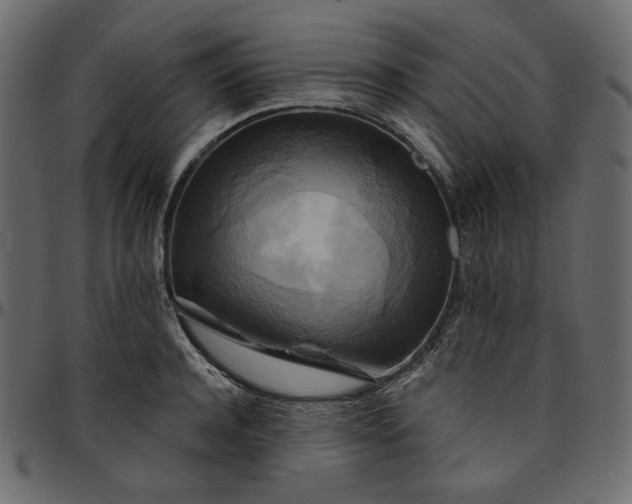 X0000095680944200801221223