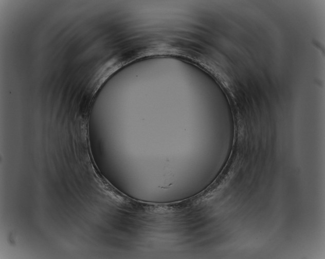 X0000095680945200801221223