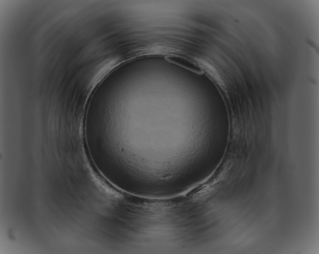 X0000095680946200801221223