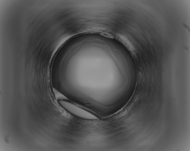 X0000095680948200801221223