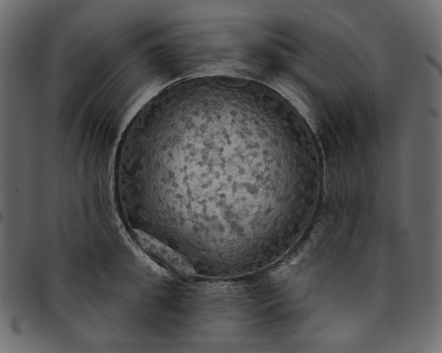 X0000095680949200801221223