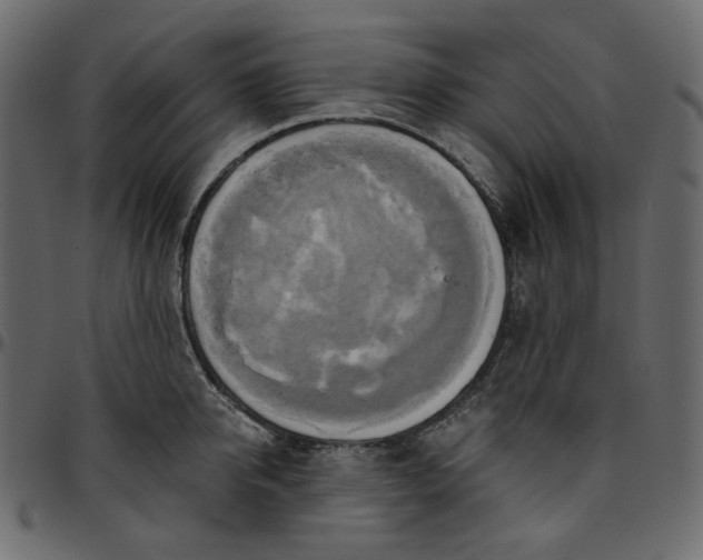 X0000095680950200801221223