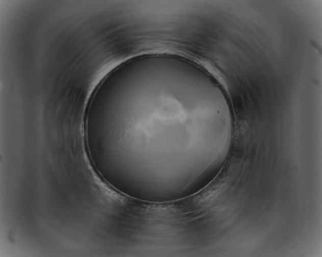X0000095680951200801221223