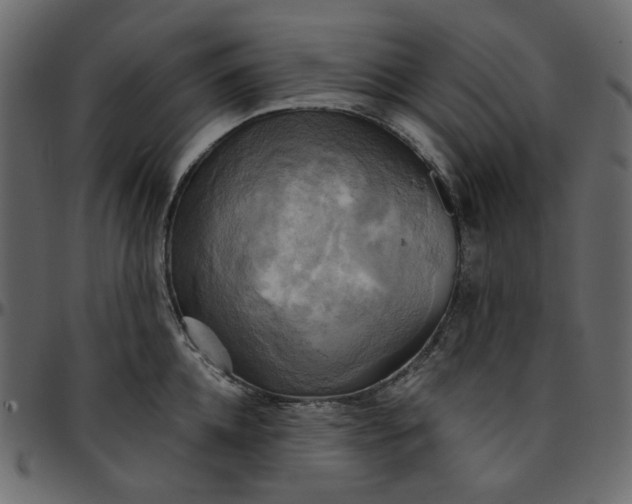 X0000095680952200801221223