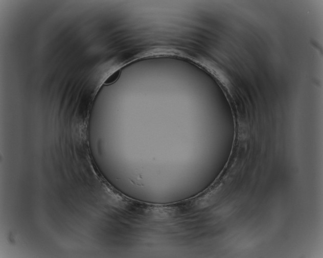 X0000095680953200801221223