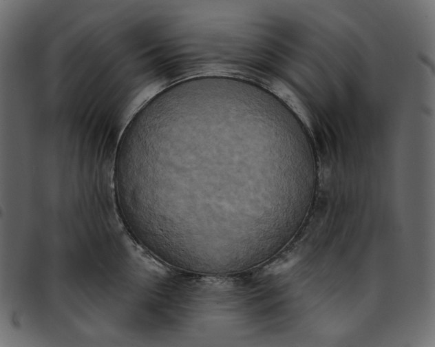 X0000095680954200801221223