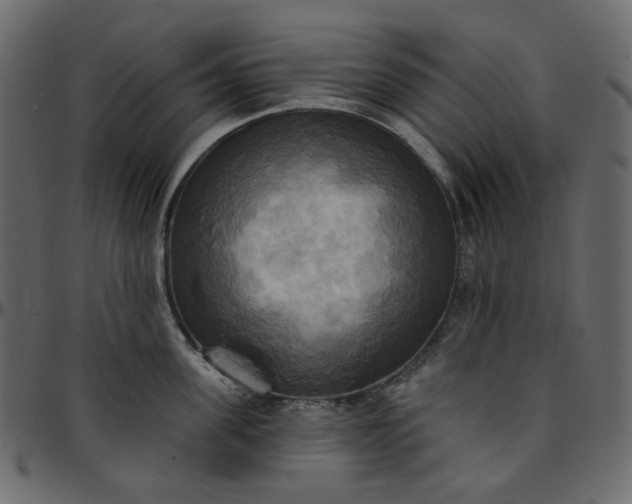 X0000095680955200801221223