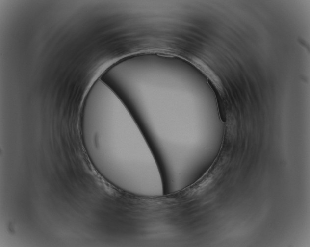X0000095680956200801221223