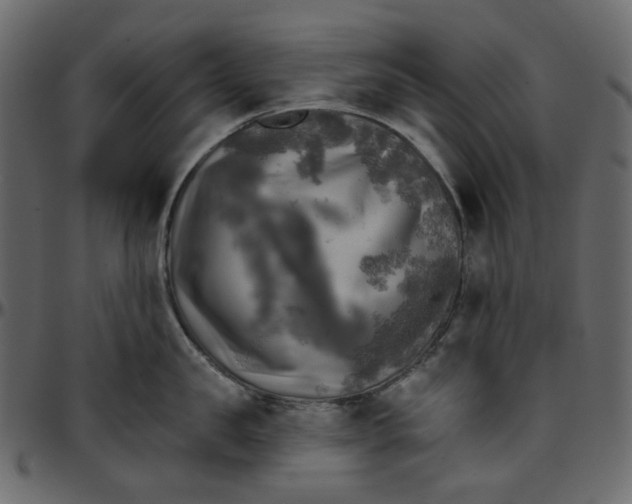 X0000095680957200801221223