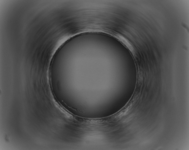 X0000095680958200801221223
