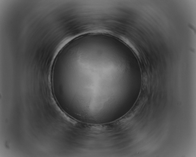 X0000095680959200801221223