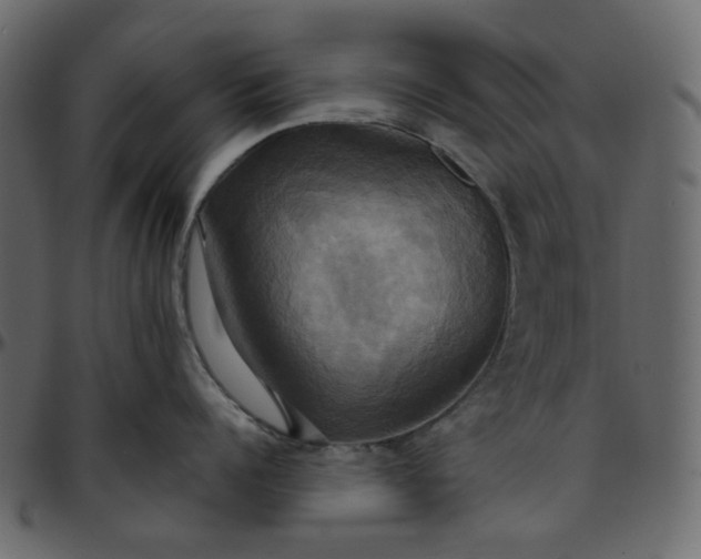 X0000095680960200801221223