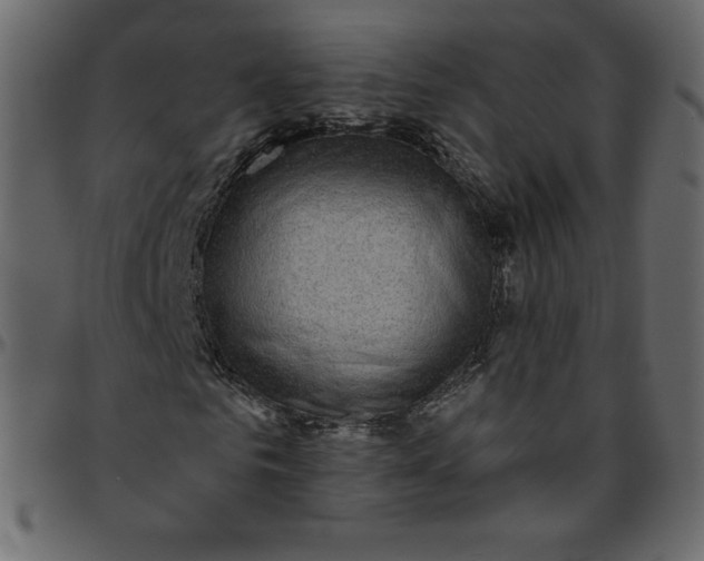 X0000095680961200801221222