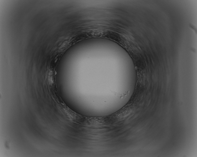 X0000095680962200801221222