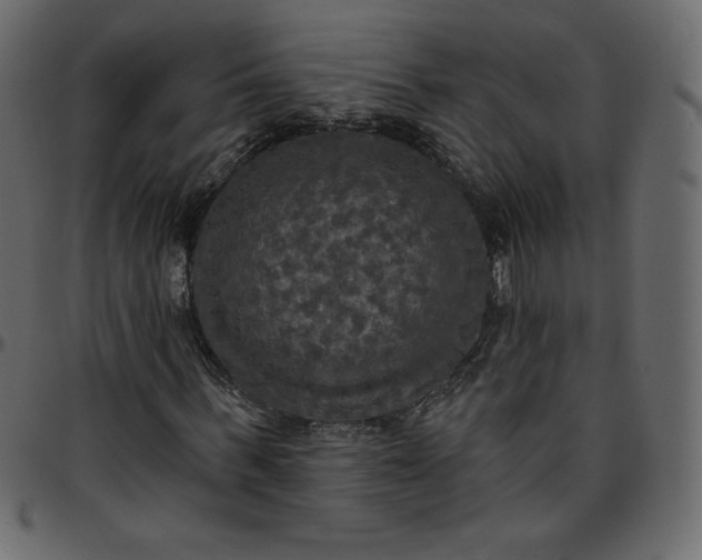 X0000095680963200801221222