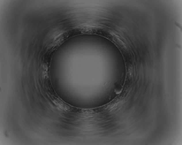 X0000095680964200801221222
