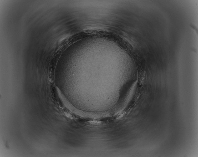 X0000095680965200801221222