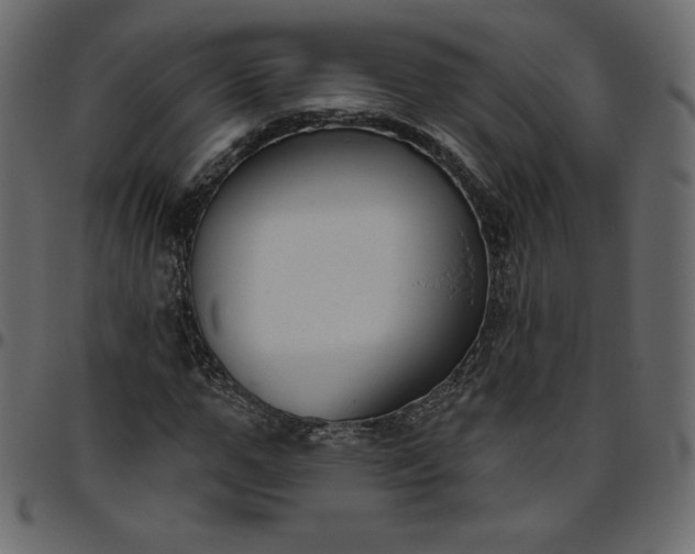 X0000095680967200801221222