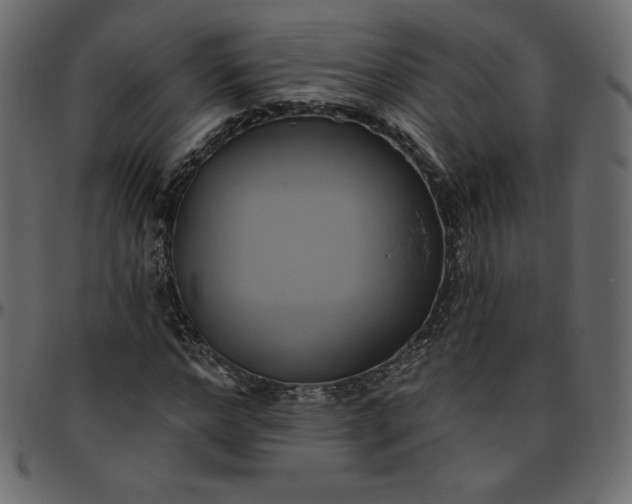 X0000095680968200801221222