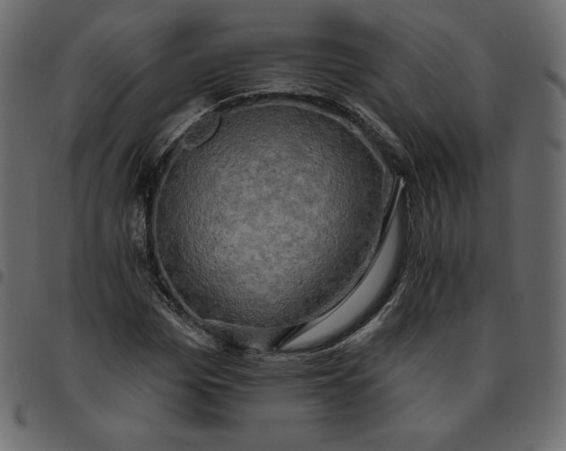 X0000095680969200801221222