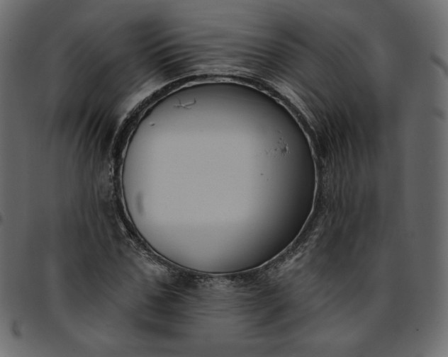 X0000095680971200801221222