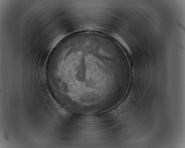 X0000095680972200801221222