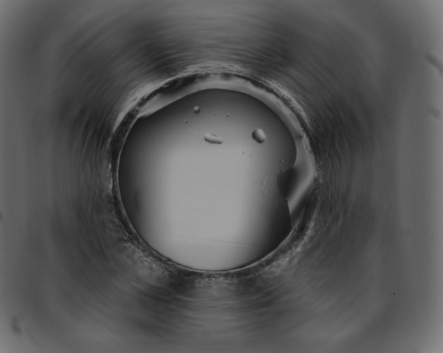 X0000095680973200801221222