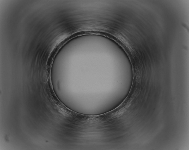 X0000095680974200801221222