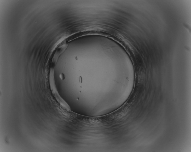 X0000095680975200801221222