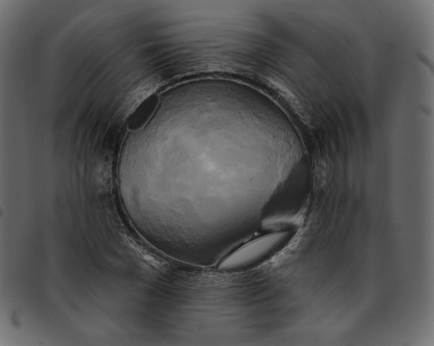 X0000095680977200801221222