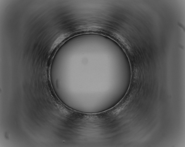 X0000095680978200801221222