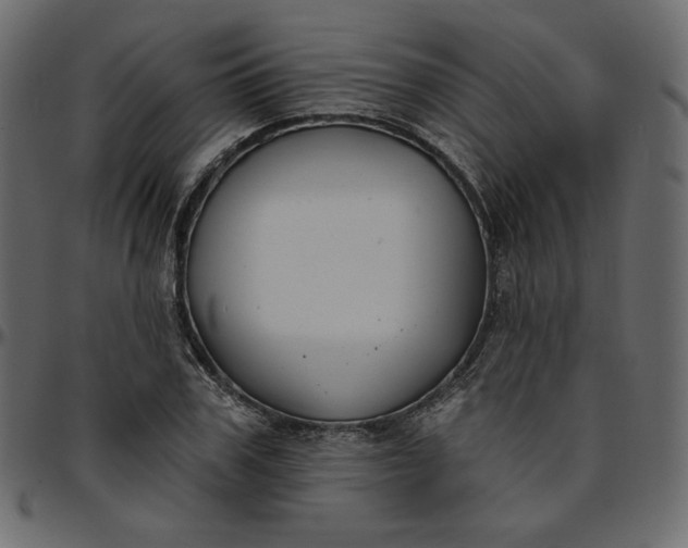 X0000095680979200801221222