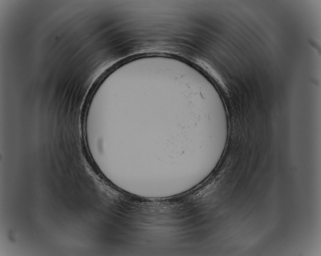 X0000095680980200801221222