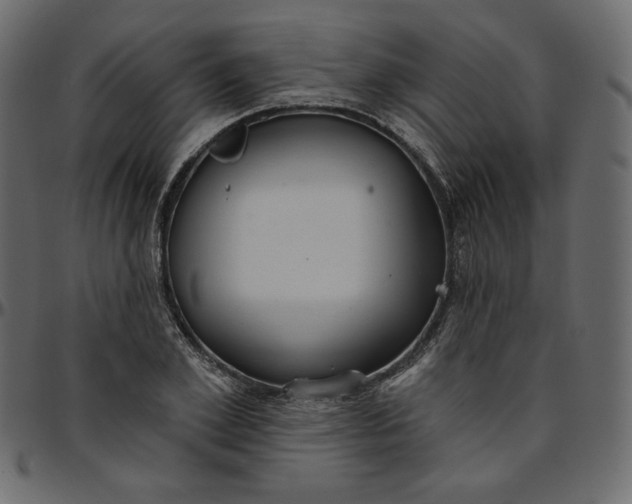 X0000095680981200801221222